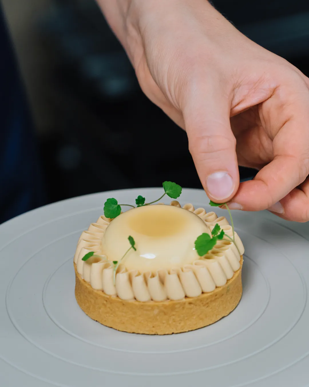 Hand decorating a gourmet dessert tart.